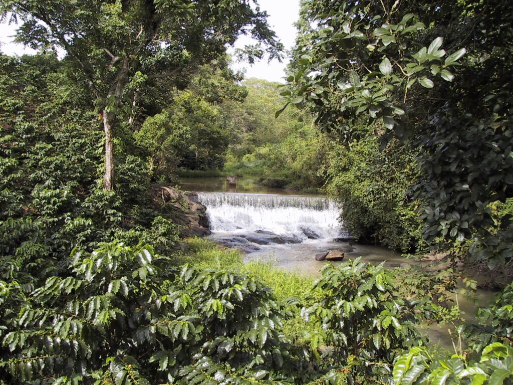 Finca cafetalera en Zihuateutla, Puebla, México